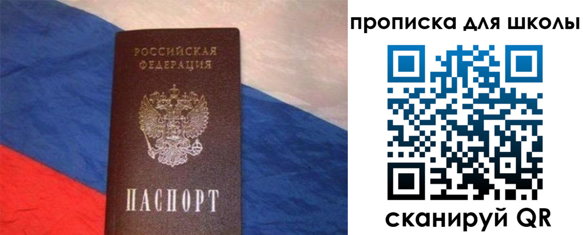 прописка поиск в Каменке